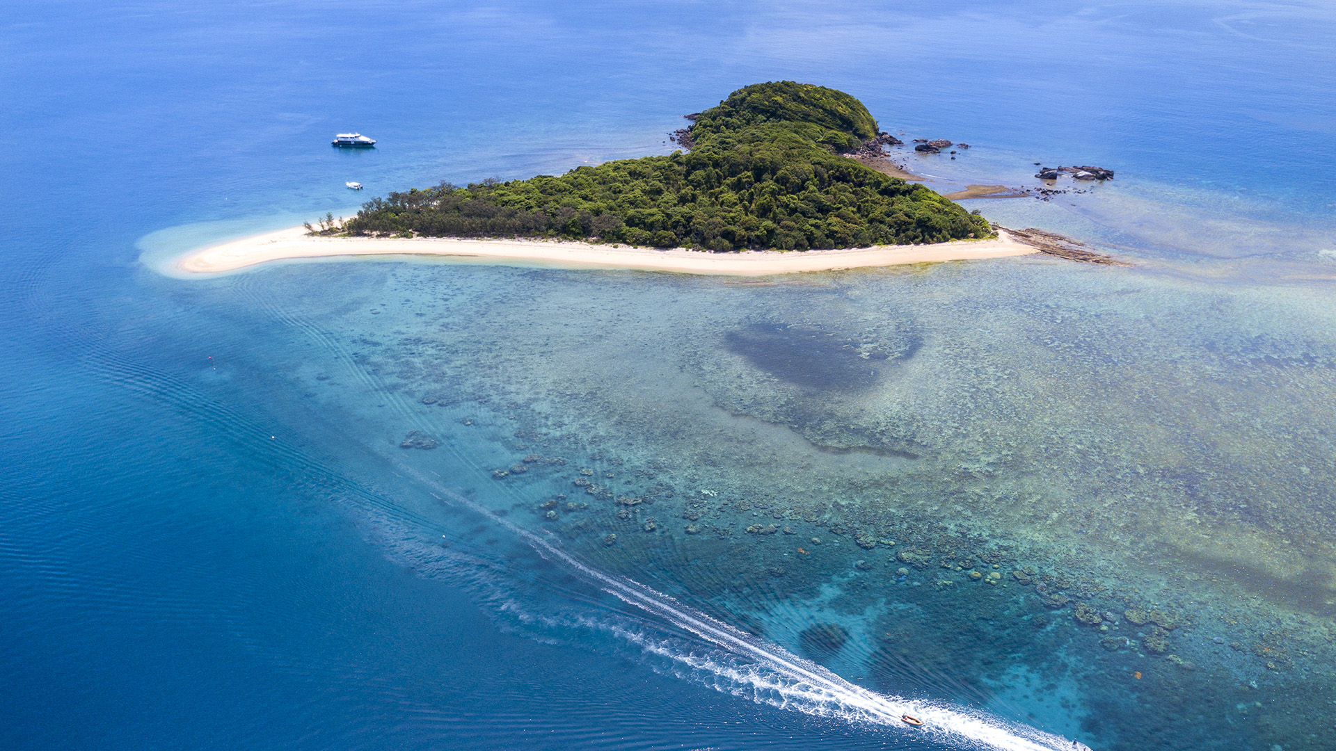 Special Deals and Offers - Frankland Islands Reef Cruises